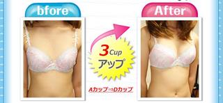 カイロ式・バストアップ法1.jpg