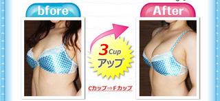 カイロ式・バストアップ法2.jpg